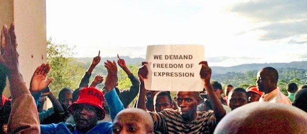 swazi protestors_by bill snaddon