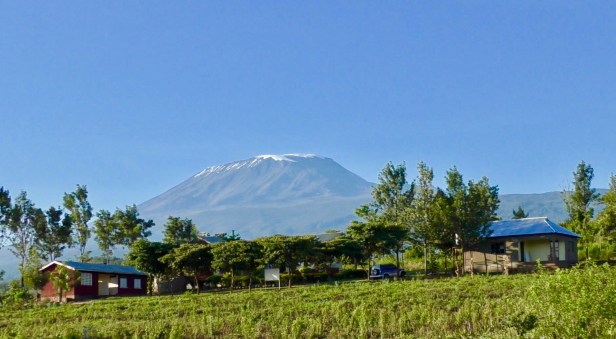 Mt Kilimanjaro_3_from small town of Kitenden in northern Tanzaniaphoto by Bill Snaddon