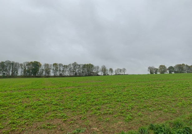 Photo 11-11-2019, 11 17 43 am